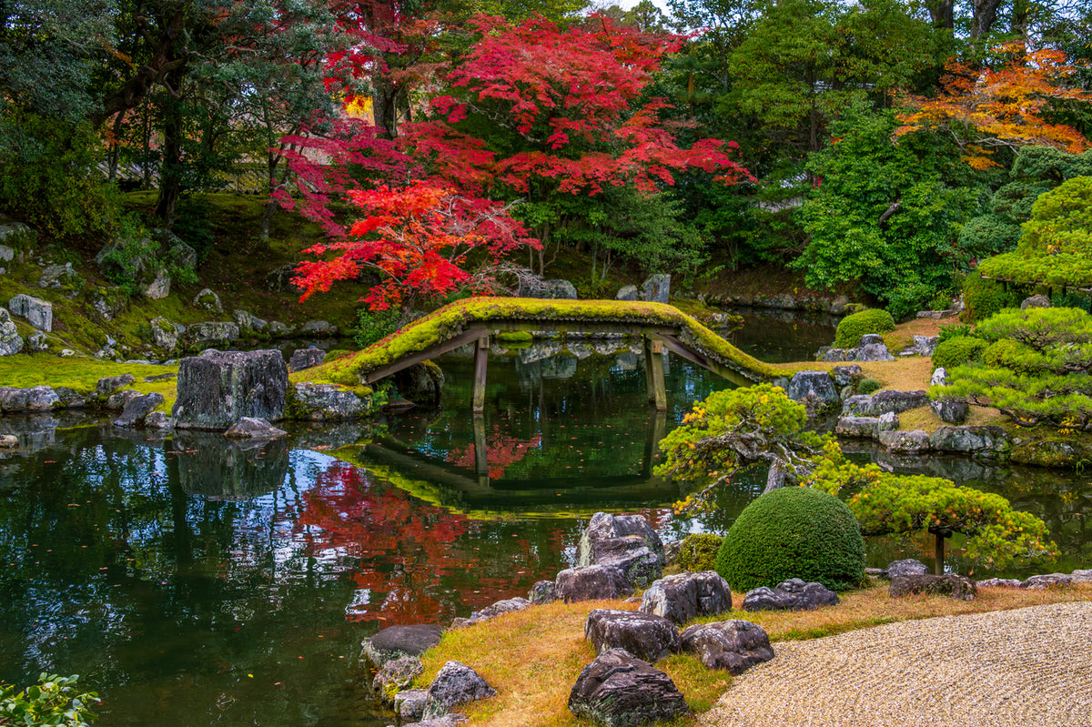Sambo-in Temple Autumn, Kyoto