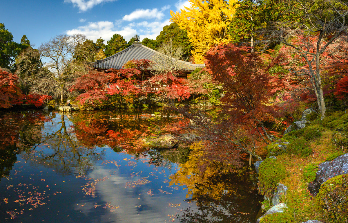 Daigo-ji Temple Autumn, Kyoto