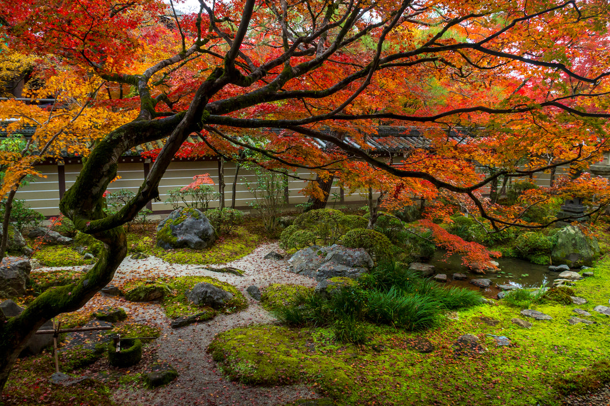 Eikan-do Temple Autumn, Kyoto
