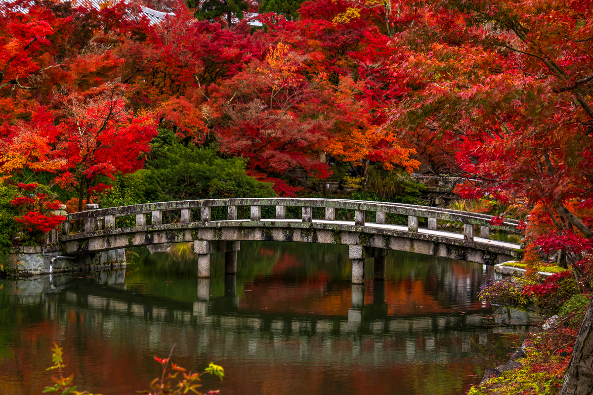 Eikan-do Temple Autumn, Kyoto