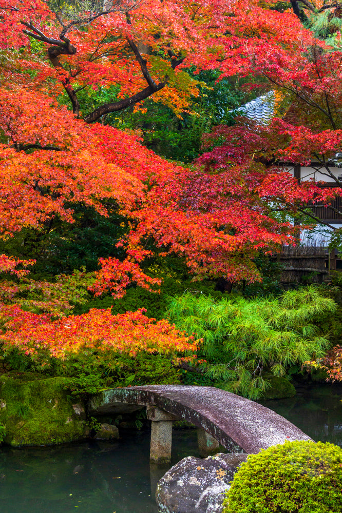 Eikan-do Temple Autumn, Kyoto