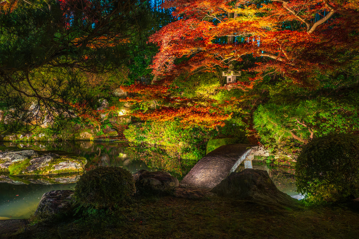 Eikan-do Temple Autumn Illuminated Night, Kyoto