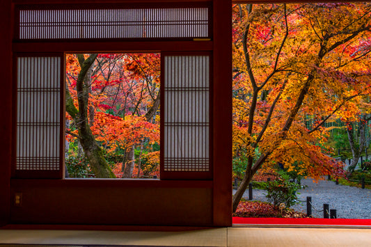 Enko-ji Temple Autumn Foliage, Kyoto