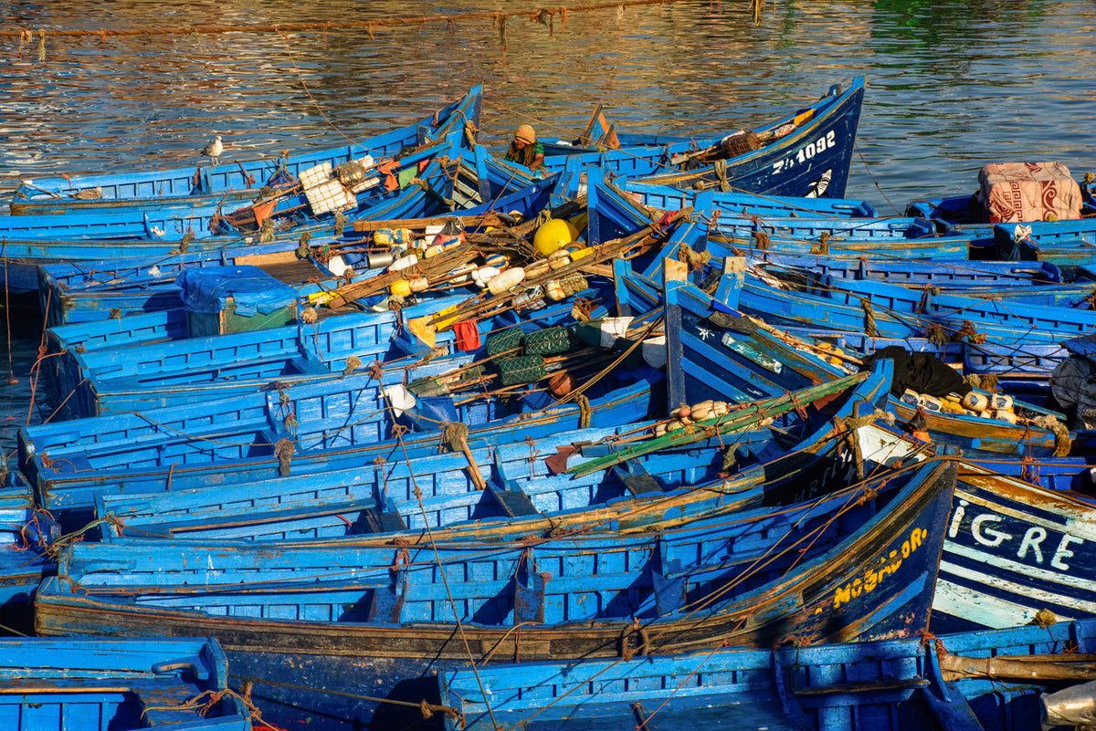 Essaouira Fishing Port, Morocco — Traditional Blue Boats