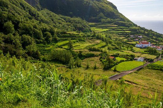 Faja Grande, Flores, Azores