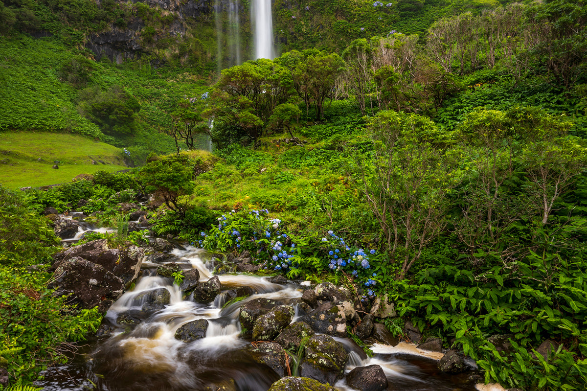 Faja Grande Waterfall, Flores, Azores