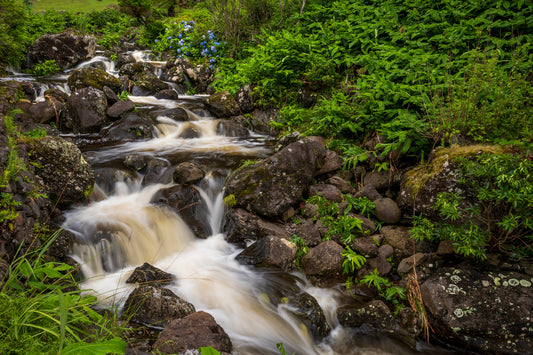 Waterfall, Flores, Azores