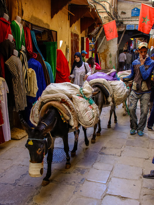 Fes, Morocco — Historic Medina