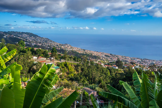 Miradour (Overlook) Funchal, Madeira, Portugal