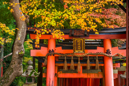 Fushimi Inari Temple Tori Gate, Kyoto