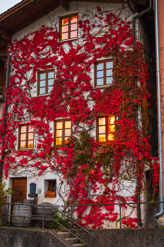 Fussen, Bavarian Alps, Germany