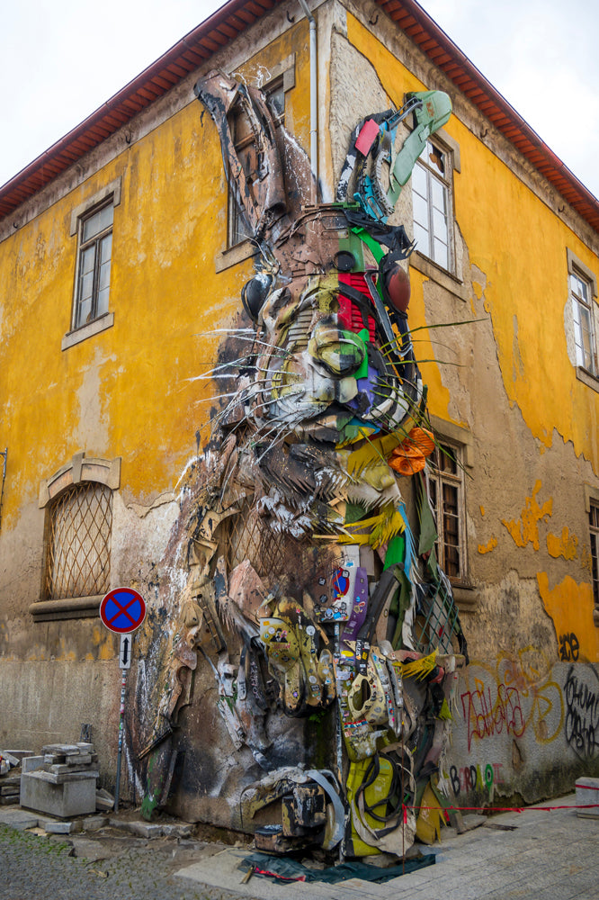 Porto, Portugal, Rabbit, 3D Art