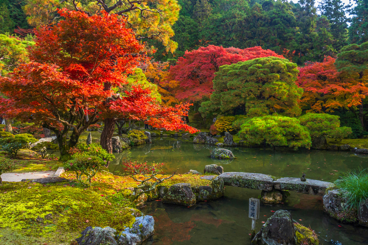 Ginkaku-ji Temple  Autumn, Kyoto