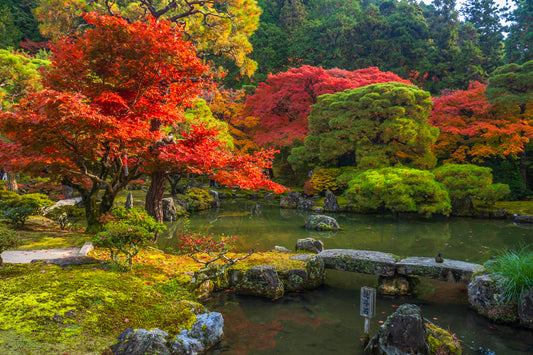 Ginkaku-ji Temple  Autumn, Kyoto