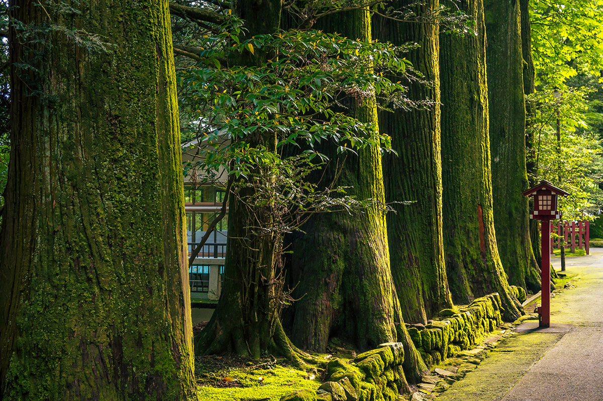 Hakone Shinto Shrine, Hakone