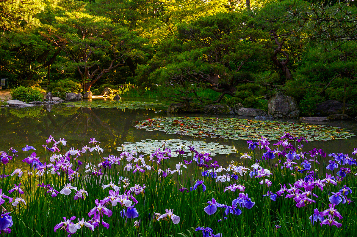 Heain Jingu Temple Gardens, Kyoto