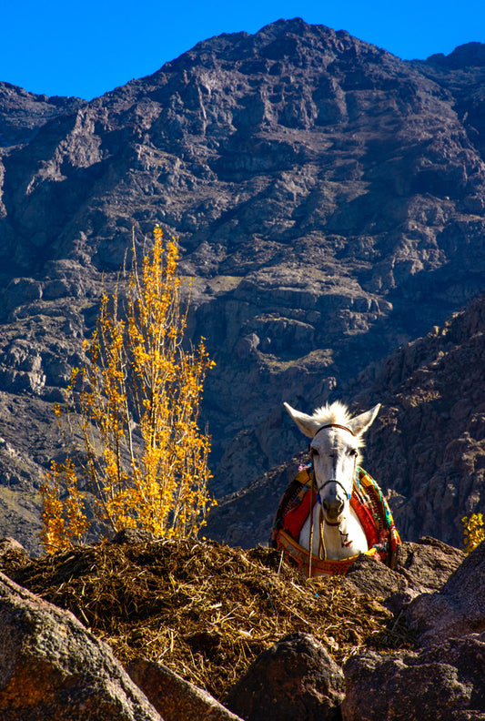 High Atlas Mountains, Morocco