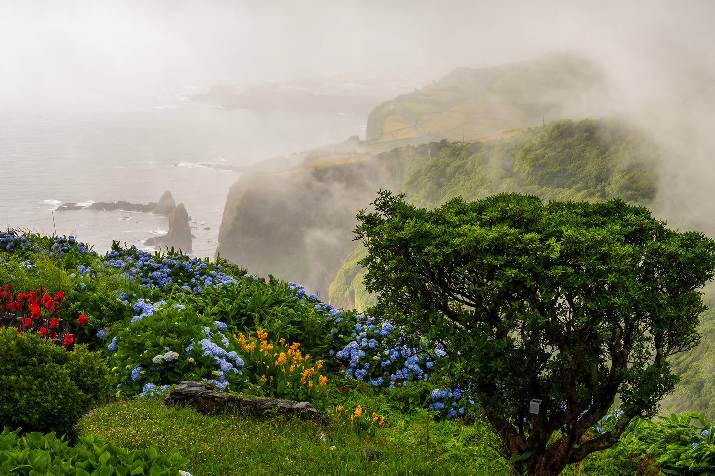 Misty Azores, Flores