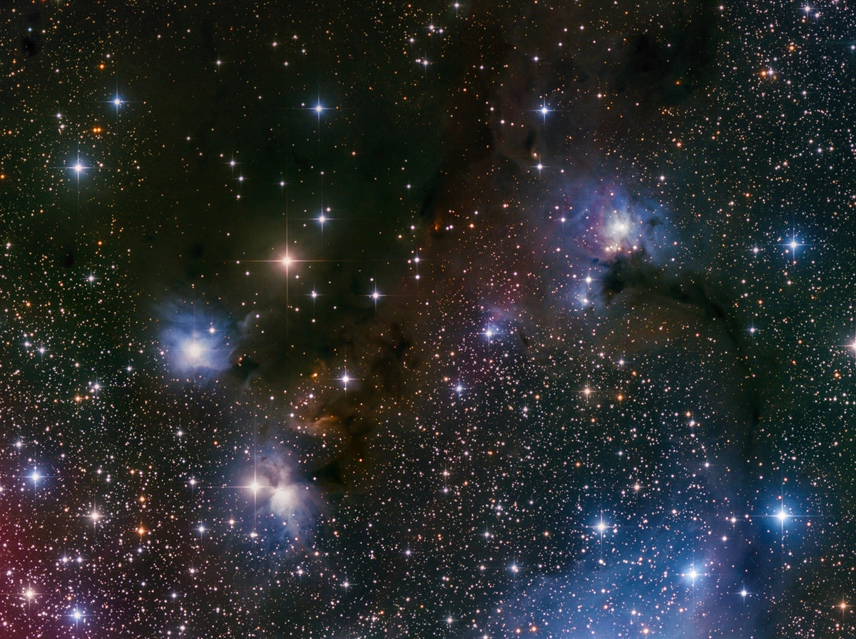 IC446