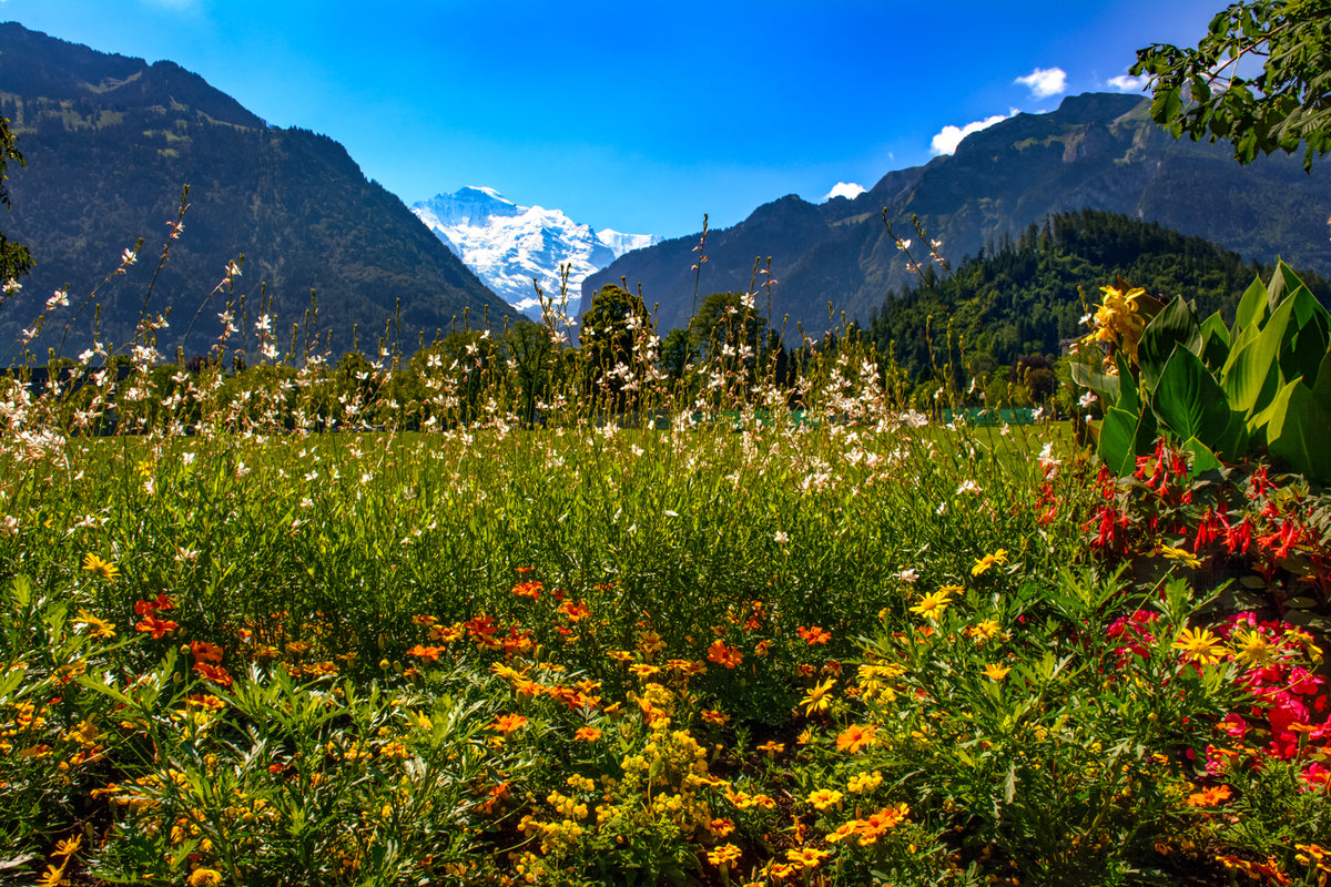 Interlaken, Switzerland