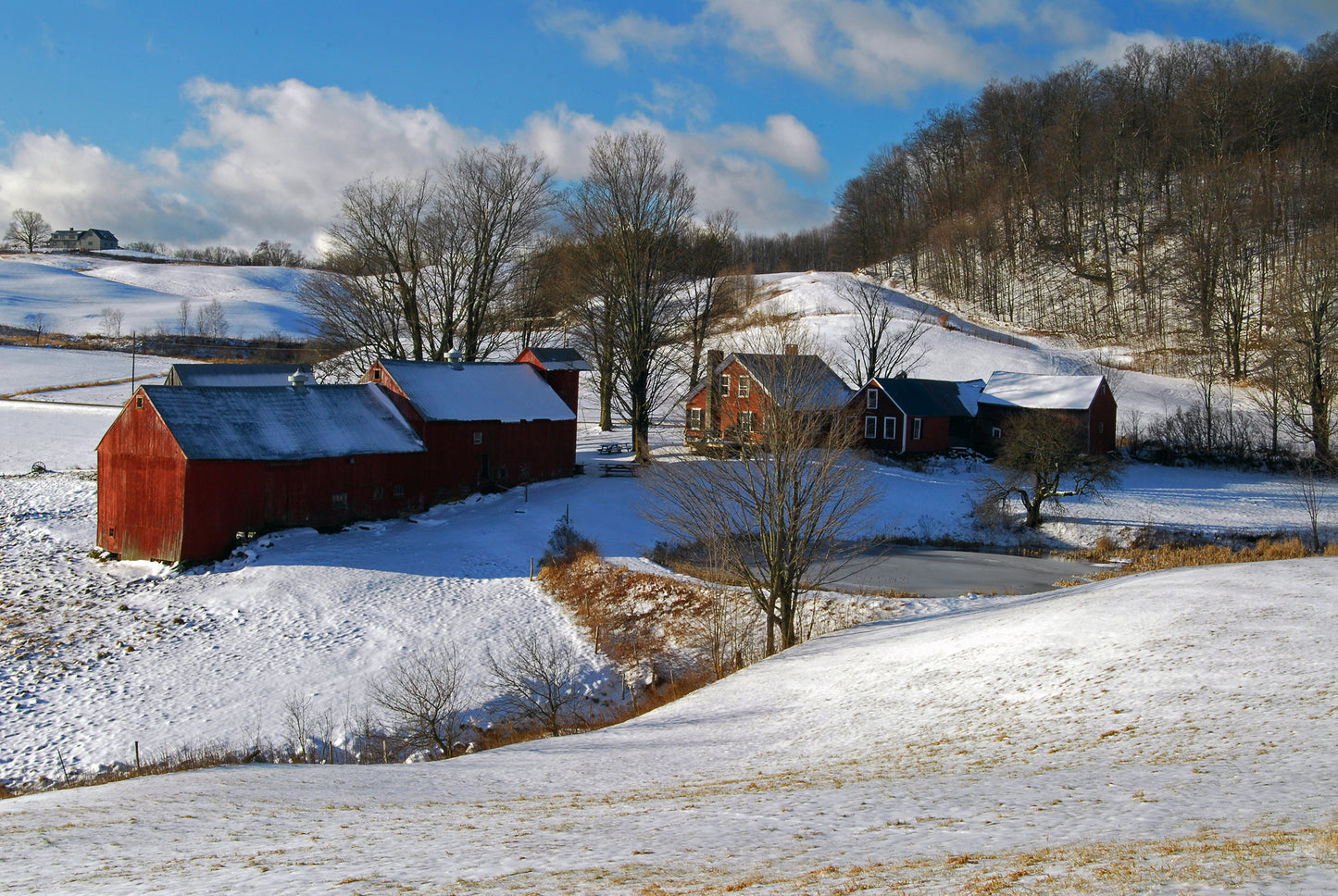 Jenn Farm, Vermont