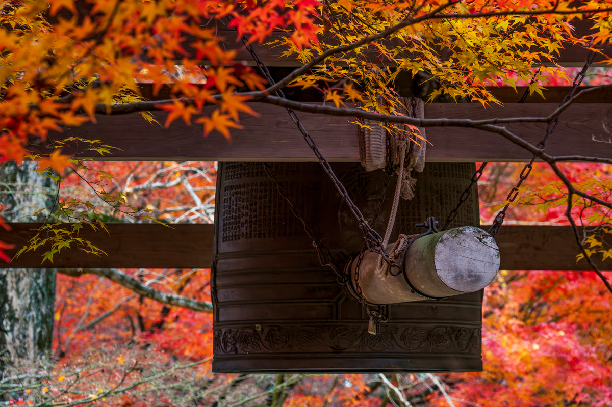 Jojjako Temple, Autumn, Kyoto