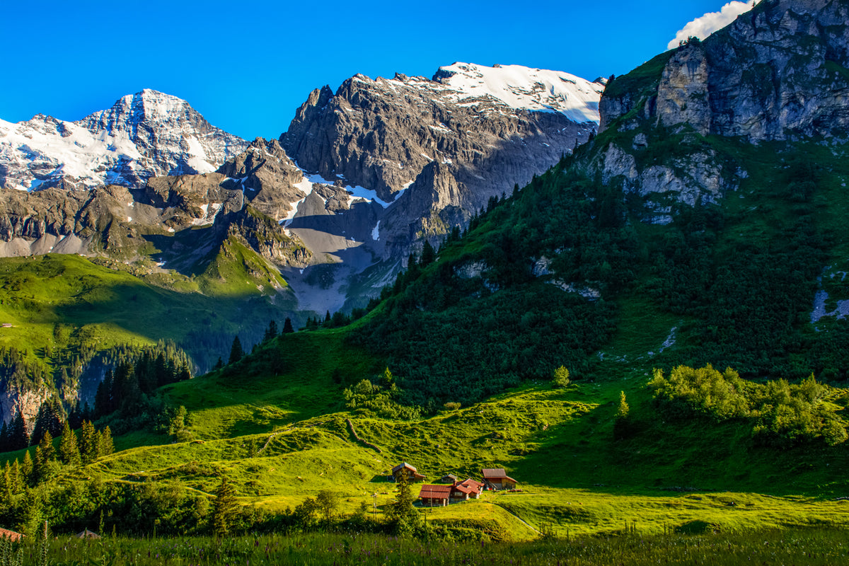 Farm, Swiss Alps, Jungfrau Region, Bernese Oberland