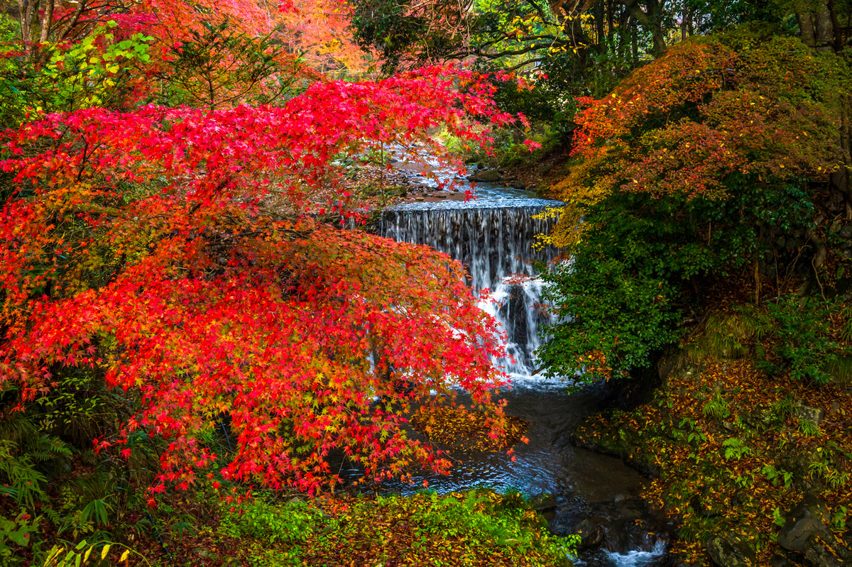 Kibune Cascade, North of Kyoto