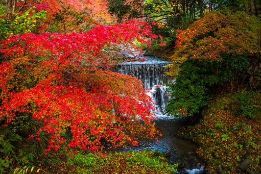 Kibune Cascade, North of Kyoto