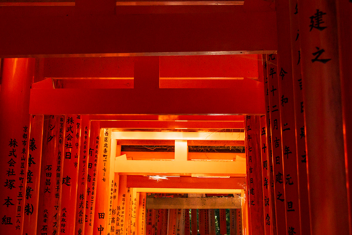 Fushimi Inari Temple Tori Gates , Kyoto