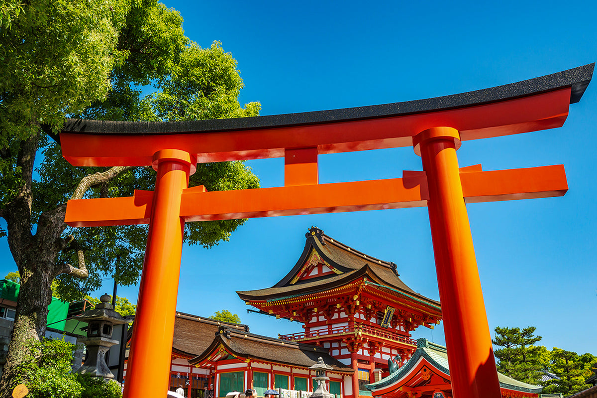Fushimi Inari Temple Tori Gates , Kyoto