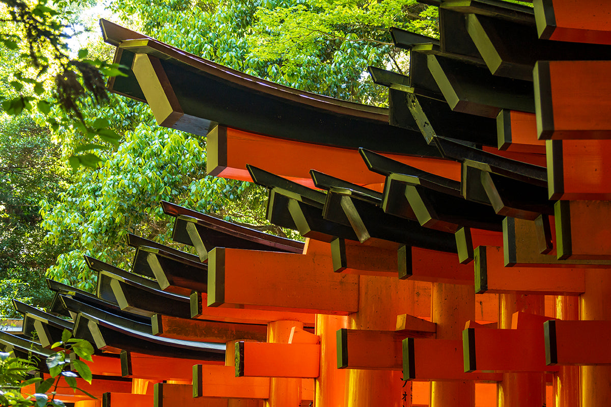 Fushimi Inari Temple Tori Gates , Kyoto