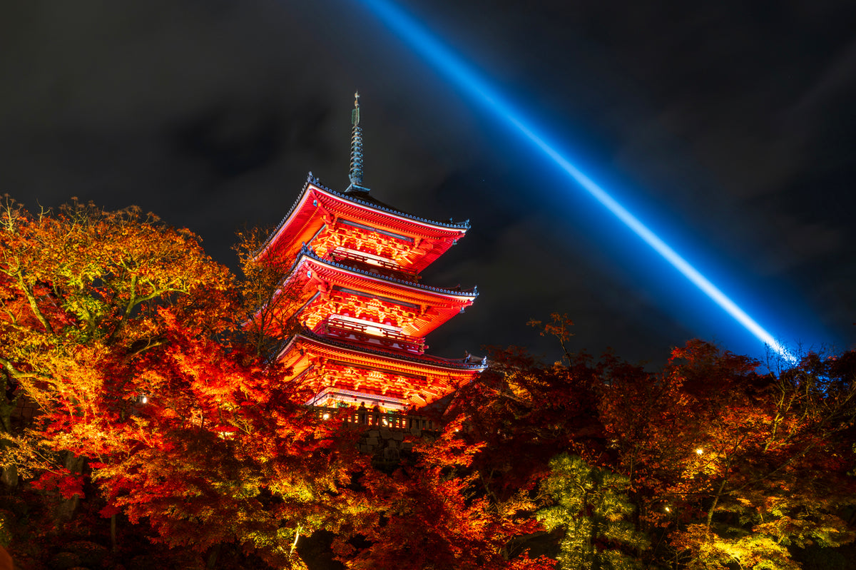 Kiyomizu-dera Temple Illuminated at Night in Autumn, Kyoto