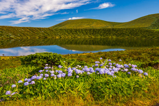 Lagoa Rasa, Flores, Azores