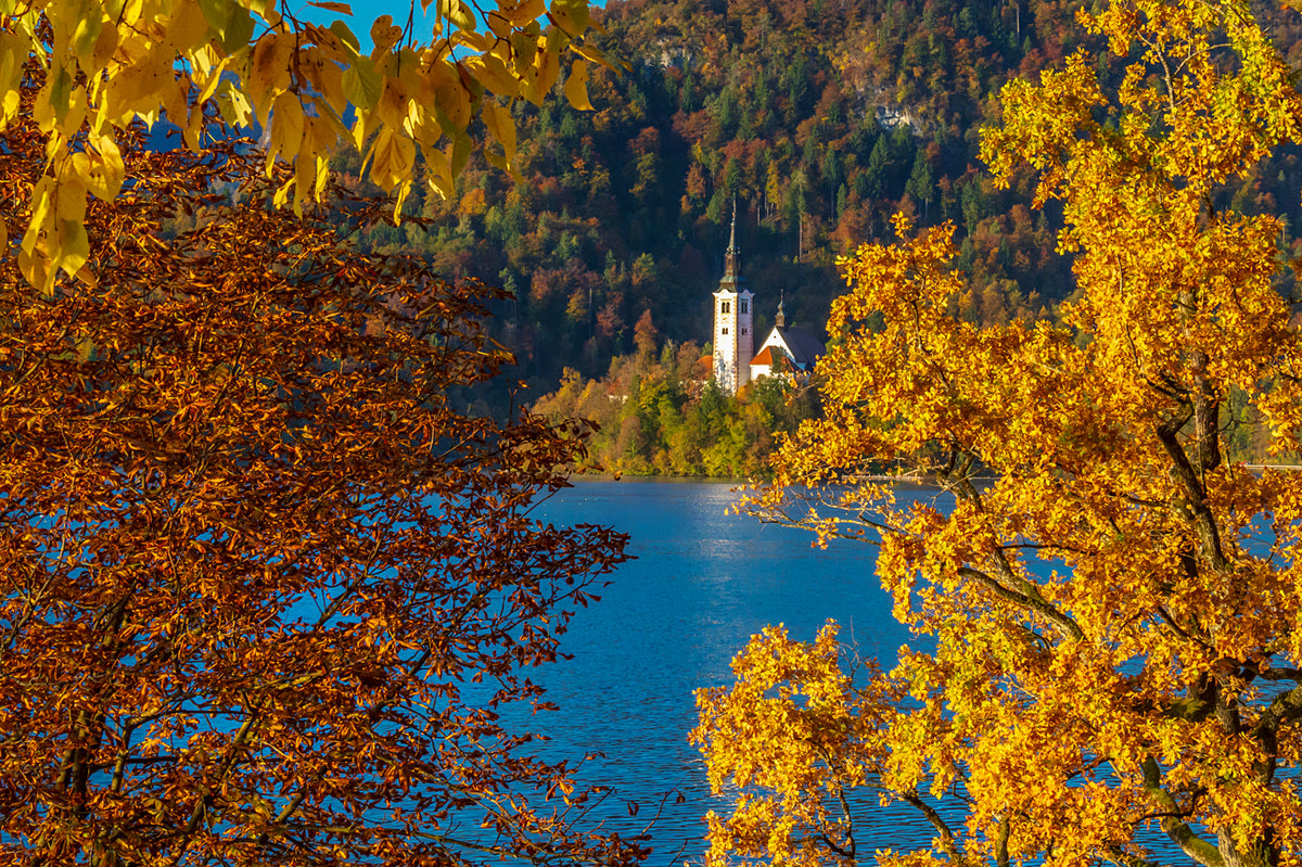 Lake Bled and Church Autumn Color, Slovenia