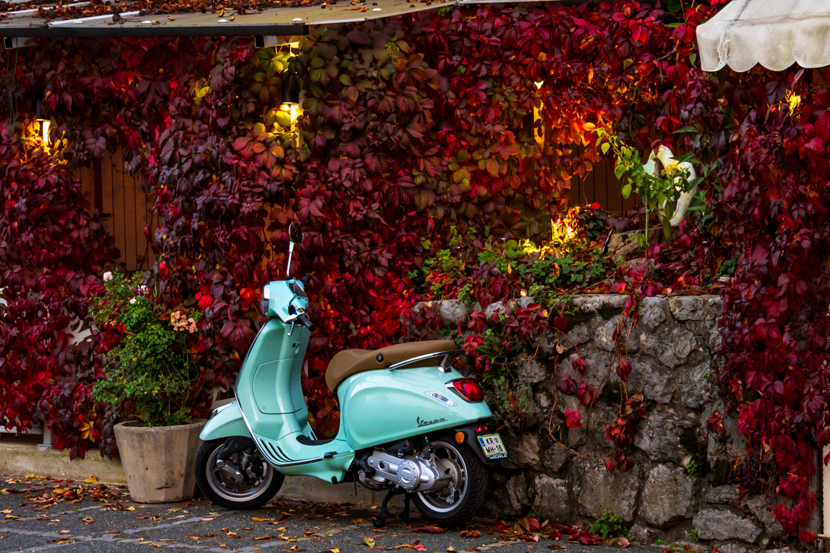 Vespa and Autumn Color, Slovenia