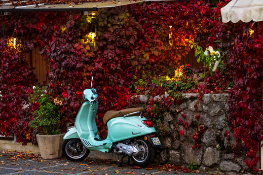 Vespa and Autumn Color, Slovenia