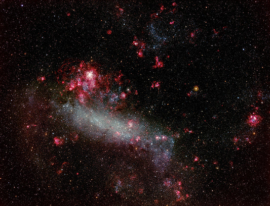 The Large Magellanic Cloud