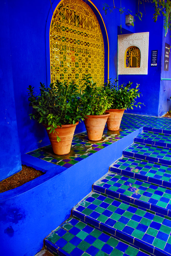 Majorelle Garden, Marrakesh
