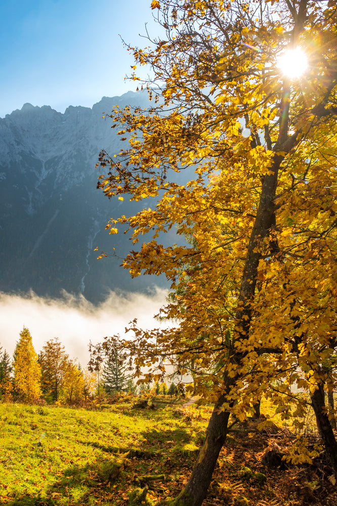 Mittenwald, Bavarian Alps, Germany