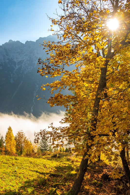 Mittenwald, Bavarian Alps, Germany