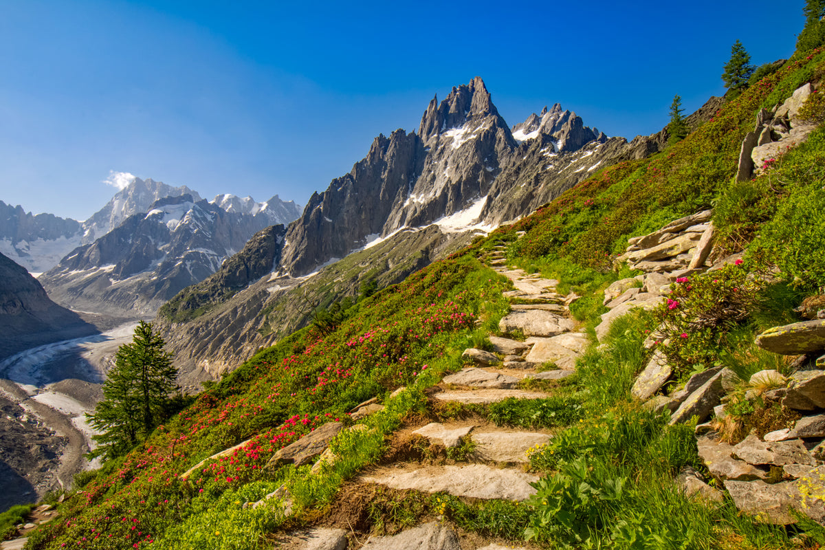 Chamonix Valley, France — Alpine Trail Beneath the Aiguilles