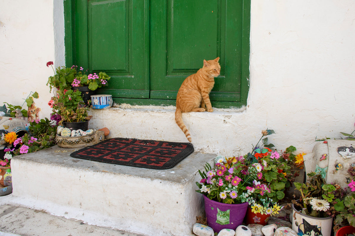 Mykonos Town, Greece