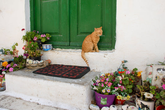 Mykonos Town, Greece