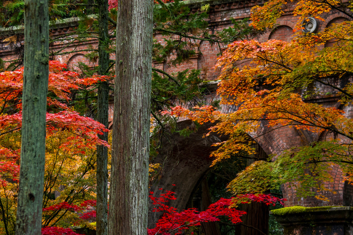 Nanzen-ji Temple Autumn, Kyoto