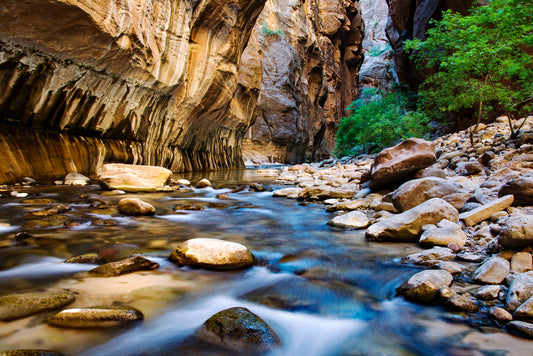 The Narrows, Zion National Park