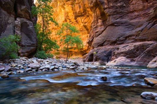 The Narrows Vertical, Zion National Park