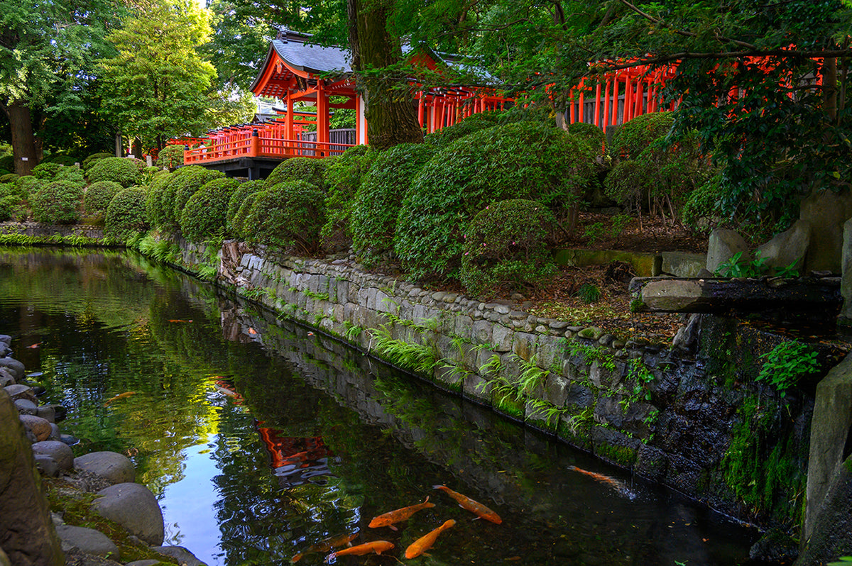 Nezzu Shinto Shrine, Tokyo