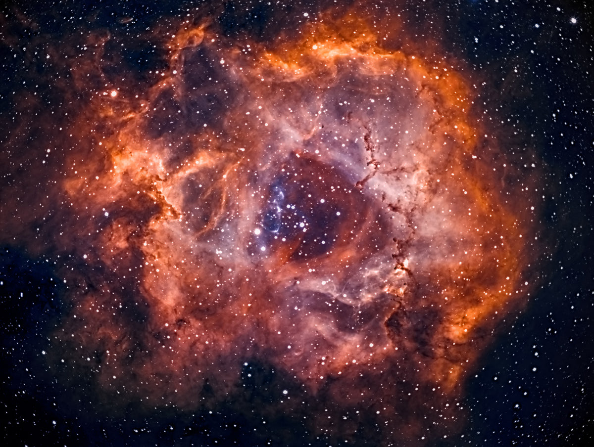 Rosette Nebula, Ngc 2244