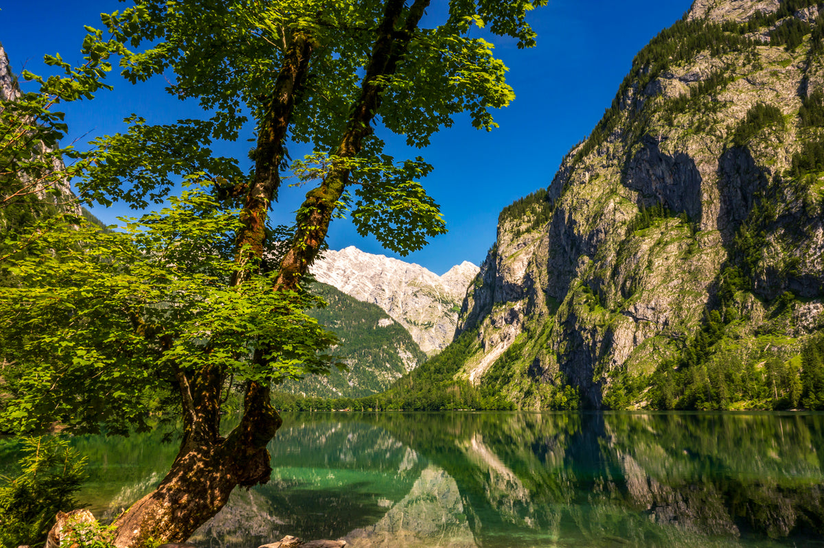 Obersee, Berchtesgaden, Bavarian Alps, Germany